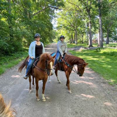 HORSE TRAINING